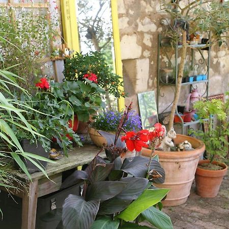 Les Petites Mirabelles Bed & Breakfast Noyers-sur-Cher Ngoại thất bức ảnh