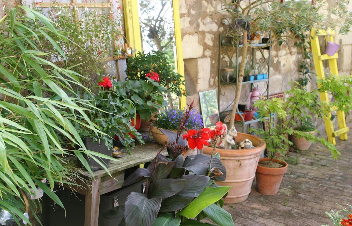 Les Petites Mirabelles Bed & Breakfast Noyers-sur-Cher Ngoại thất bức ảnh
